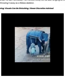 ゾウを移動させようとした調教師。この後、ゾウは突然の攻撃に出た（『Free Press Journal　「Horrifying VIDEO: Elephant Mercilessly Tramples Mahout To Death At Safari Centre In Kerala’s Kallar」』より）