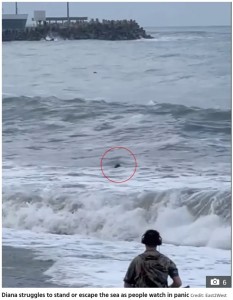 沖に流されるダイアナさんは、水面に頭をかろうじて出している状態だった（『The Sun　「BEACH HORROR Tragic moment woman is swept out to sea to her death just seconds after romantic kiss with boyfriend on the beach」（Credit: East2West）』より）