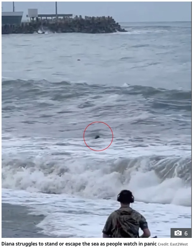 沖に流されるダイアナさんは、水面に頭をかろうじて出している状態だった（『The Sun　「BEACH HORROR Tragic moment woman is swept out to sea to her death just seconds after romantic kiss with boyfriend on the beach」（Credit: East2West）』より）