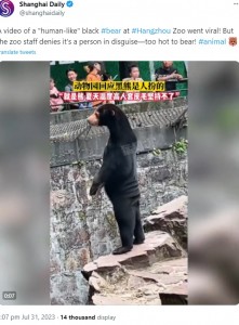 2023年7月、浙江省の杭州動物園で飼育されているマレーグマの動画がSNSに投稿されて話題に。「着ぐるみでは？」と偽グマ疑惑が浮上していた（『Shanghai Daily　X「A video of a “human-like” black ＃bear」』より）