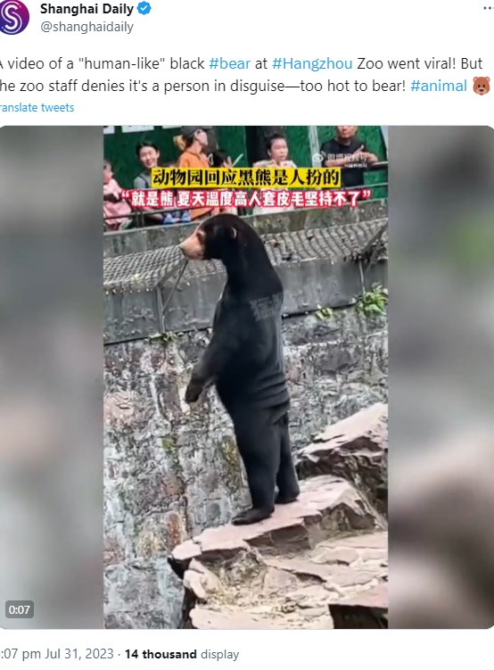 2023年7月、浙江省の杭州動物園で飼育されているマレーグマの動画がSNSに投稿されて話題に。「着ぐるみでは？」と偽グマ疑惑が浮上していた（『Shanghai Daily　X「A video of a “human-like” black ＃bear」』より）