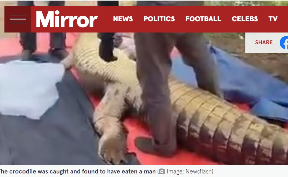 マレーシアのボルネオ島で2023年7月、60歳男性の遺体の一部がワニ（クロコダイル）の腹部から発見された。男性は4日前から行方不明で家族が捜索願を出していた（『The Mirror　「Body of missing man found inside belly of huge 14ft crocodile in gruesome discovery」（Image: Newsflash）』より）