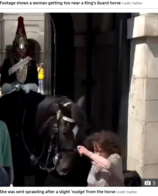 観光客は馬や衛兵に近づかないよう警告されているものの、ハプニングが絶えないようで、小突かれて顔面ダイブした女性には「ドラマチックな転倒。オスカーを受賞できそうだ」との声もあがった（『The Sun　「HORSE-BUTT Moment tourist is sent sprawling to the floor after being ‘headbutted’ by King’s Guard horse outside Buckingham Palace」（Credit: Twitter）』より）