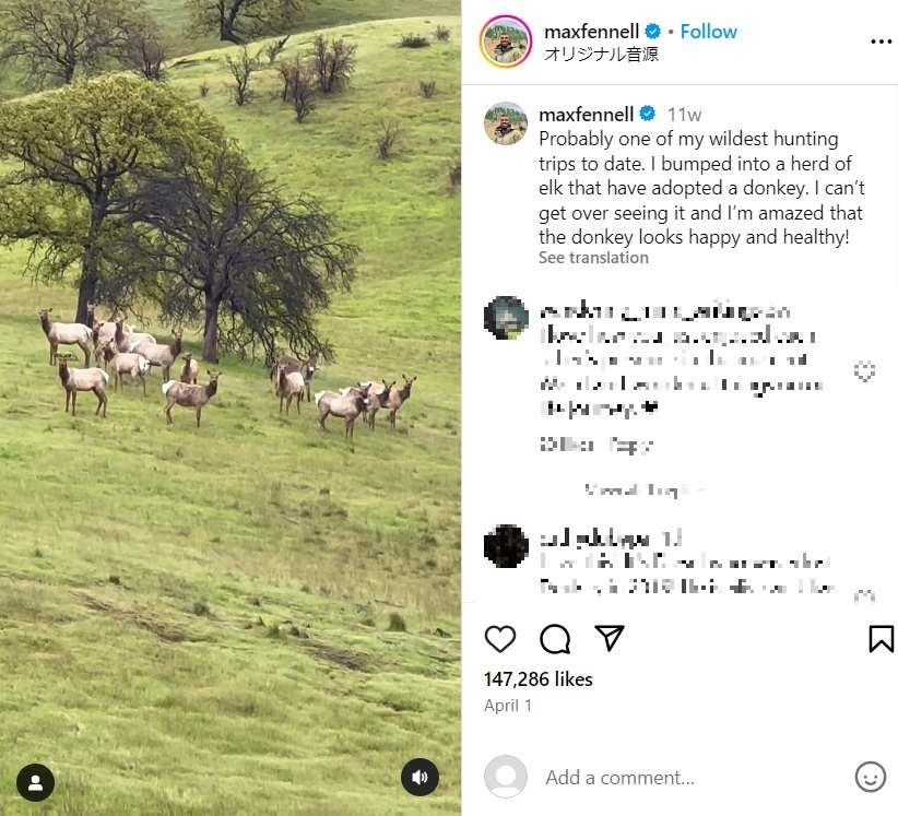 山間の広い草原にいたシカの群れの中に1頭だけロバが。このロバは5年前、行方不明になっていた（『Max Fennell　Instagram「Probably one of my wildest hunting trips to date.」』より）