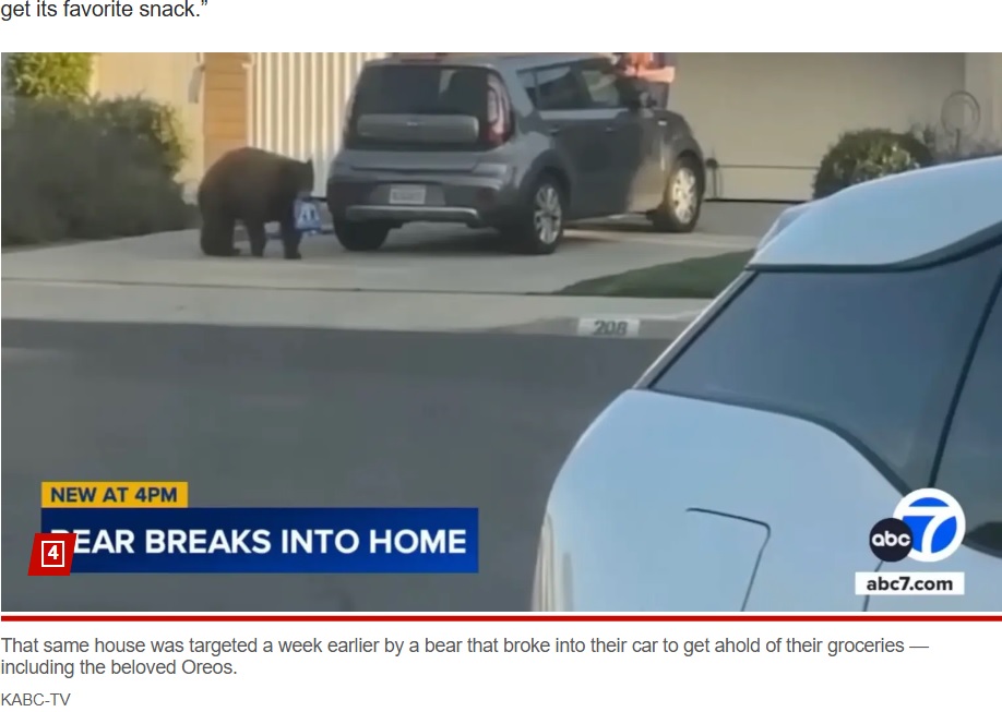 クマの“オレオ”が現れた民家には、前週にも違う個体のクマが現れ、車に積まれていたオレオを含む食品を持ち去っていた（『New York Post　「Bear breaks into homes to steal cookies in hilarious video ― and earns a cute nickname」（KABC-TV）』より）