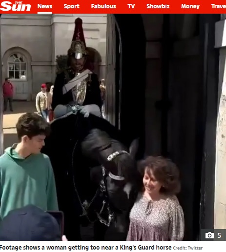 バッキンガム宮殿からほど近い「ホース・ガーズ」の正門を警備する近衛兵が乗った馬の横に立つ女性。この後、悲劇が起きた（『The Sun　「HORSE-BUTT Moment tourist is sent sprawling to the floor after being ‘headbutted’ by King’s Guard horse outside Buckingham Palace」（Credit: Twitter）』より）