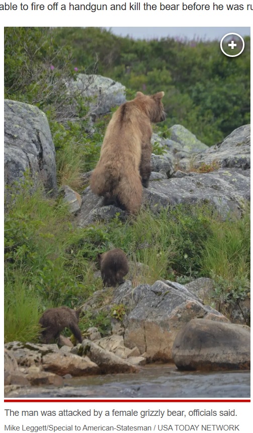 モンタナ州にはクマが多く生息しており、森の中などでは常にクマと遭遇する可能性があることを頭に入れておく必要がある（『New York Post　「72-year-old man fights off, kills aggressive grizzly bear that attacked him while picking berries」（Mike Leggett/Special to American-Statesman / USA TODAY NETWORK）』より）