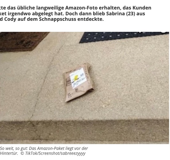 Amazonの置き配完了の写真。荷物と一緒に写っていた犬の姿がSNSに投稿されると、注目を集めることに（『TAG24　「Frau erhält Foto von Amazon-Paket: Als sie das Bild ansieht, bleibt ihr die Spucke weg」（TikTok/Screenshot/sabreeezyyyy）』より）