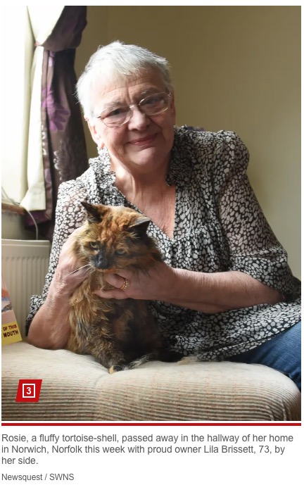 33歳と3日で天寿を全うした長寿猫のロージーを手に抱くライラさん（『New York Post「World’s oldest cat dead at 33: ‘We had our time together’」（Newsquest / SWNS）』より）