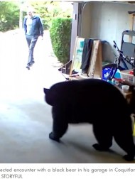 【海外発！Breaking News】自宅ガレージでクマと遭遇　冷静すぎる男性の姿に驚きの声（カナダ）＜動画あり＞