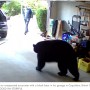 【海外発！Breaking News】自宅ガレージでクマと遭遇　冷静すぎる男性の姿に驚きの声（カナダ）＜動画あり＞