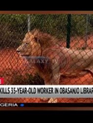 【海外発！Breaking News】致命的ミスを犯したライオンの飼育員、来園客の目の前で首を襲われ死亡（ナイジェリア）＜動画あり＞