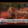 【海外発！Breaking News】致命的ミスを犯したライオンの飼育員、来園客の目の前で首を襲われ死亡（ナイジェリア）＜動画あり＞