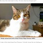 【海外発！Breaking News】何でも持って帰ってくる愛猫、口にくわえた宝くじに飼い主仰天（英）＜動画あり＞