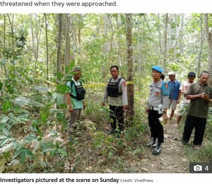 【海外発！Breaking News】妊娠5か月の女性、ゴム農園でゾウの群れに踏みつぶされて死亡　胎児も助からず（インドネシア）