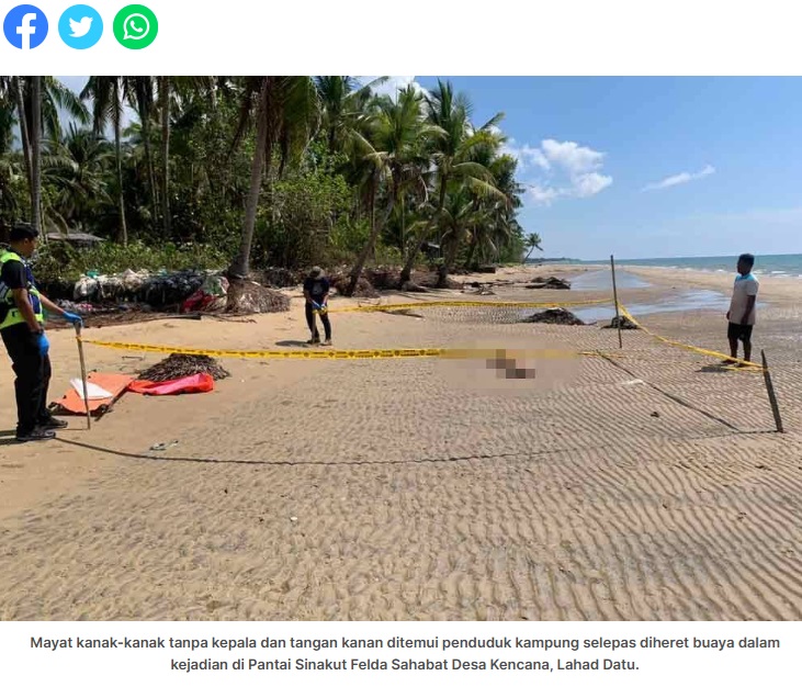 マレーシア東部ボルネオ島サバ州ラハダトゥで13日午前7時頃、海水浴中の10歳男児がワニに襲われた。遺体の一部は事故から3時間足らずで、現場から約600メートル離れた海岸で発見された（『Sinar Harian　「Budak maut dibaham buaya ditemukan tanpa kepala, tangan」』より）