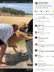 【海外発！Breaking News】「帰りたくない！」ビーチで楽しんだ犬、帰宅時に車への乗車を断固拒否＜動画あり＞