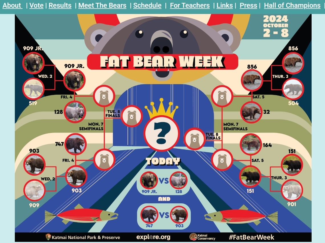 1日に発表されたファット・ベア・ウィークのトーナメント表。投票は8日まで行われる（『Explore.org　「Fat Bear Week」』より）