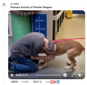 2年ぶりに再会を果たした飼い主の男性と愛犬“ミニー”（『Humane Society of Greater Niagara　Facebook「Minnie’s owner was diagnosed with cancer, and right by his side was Minnie, his loyal protector.」』より）