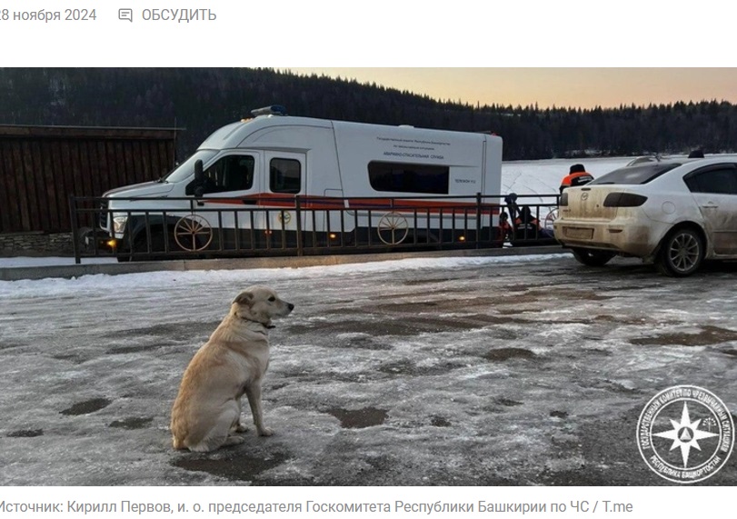 ロシア連邦のバシキール自治共和国で24日、氷が張ったウファ川に男性が転落して行方不明になった。飼い犬は事故現場の近くで男性の帰りを待ち続けた（『Вокруг света　「Башкирский Хатико: собака 4 дня ждала утонувшего хозяина на берегу замерзшей реки」（Источник: Кирилл Первов, и. о. председателя Госкомитета Республики Башкирии по ЧС / T.me）』より）