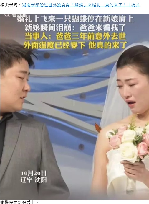 10月20日、中国遼寧省瀋陽市で行われた結婚式に突然現れた蝶。花嫁の肩にとまった（『星島日報　「大婚之日「1奇景」惊呆宾客　渖阳新娘瞬间泪崩：离世的爸爸来了︱有片」』より）