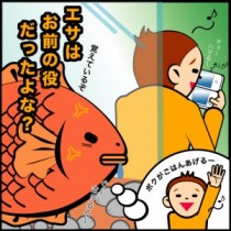 【海外仰天ニュース】“魚の記憶は３秒”はウソ。研究者が明かす驚異の知性。