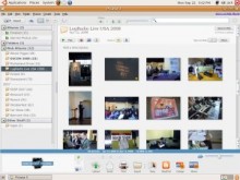 Picasa for Linux3.0βが登場　ただしMacOSX版はまだ無い